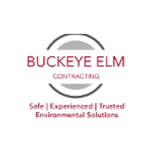 Buckeye Elm